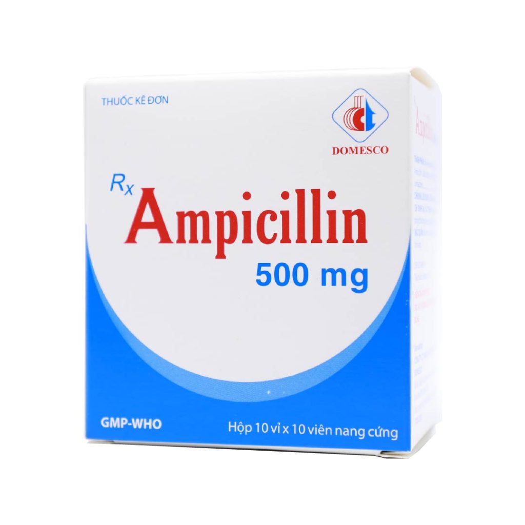 Thuốc viên nang cứng Ampicillin 500mg Domesco điều trị nhiễm khuẩn – 10 vỉ x 10 viên