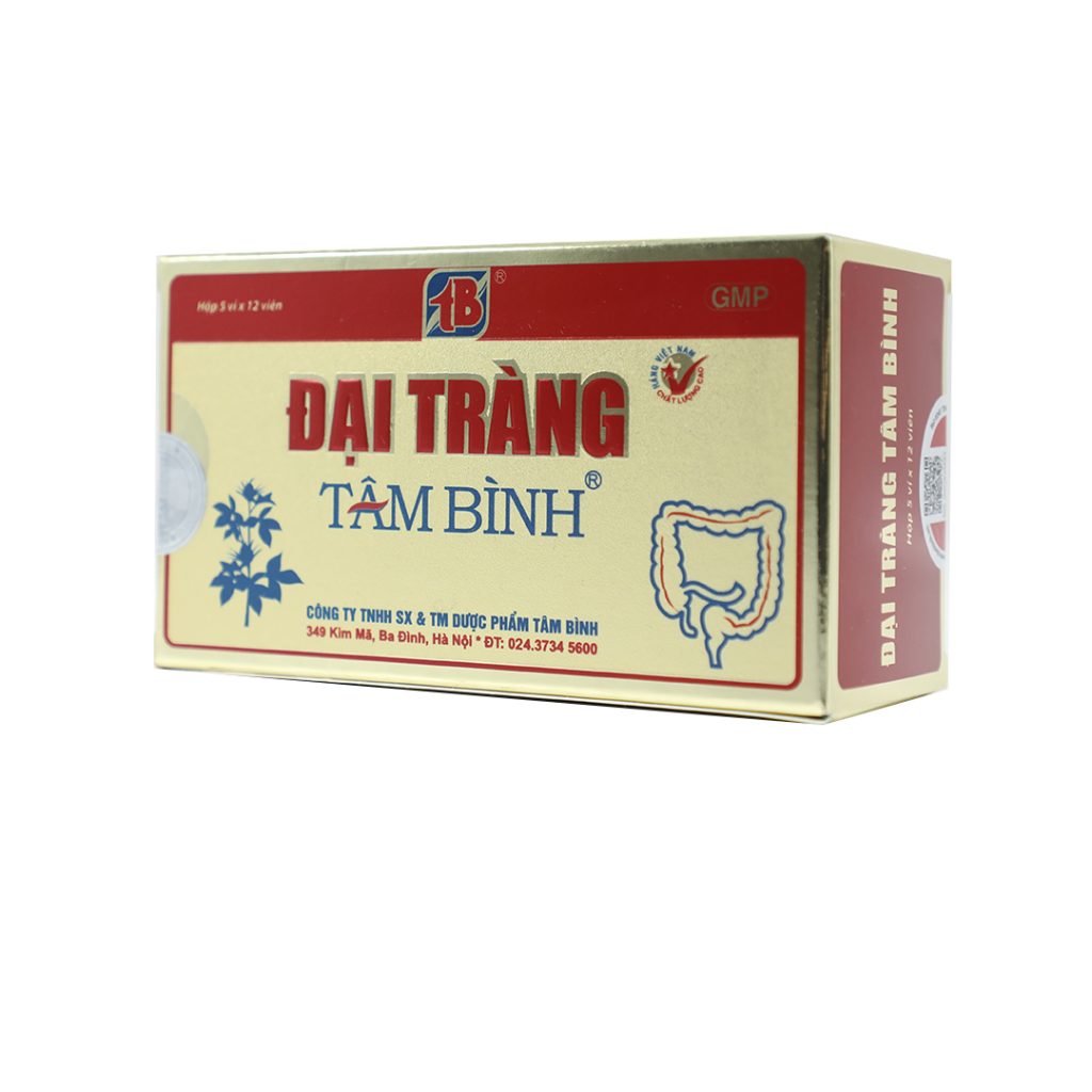 Viên nang cứng Đại Tràng Tâm Bình hỗ trợ rối loạn tiêu hóa, viêm đại tràng – 5 vỉ x 12 viên