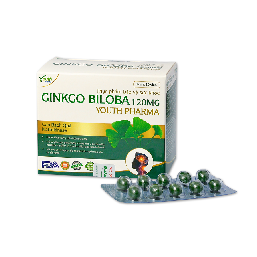 Viên Uống Ginkgo Biloba 120mg Youth Pharma Hỗ Trợ Tăng Cường Tuần Hoàn Máu Não –  Hộp 60 Viên