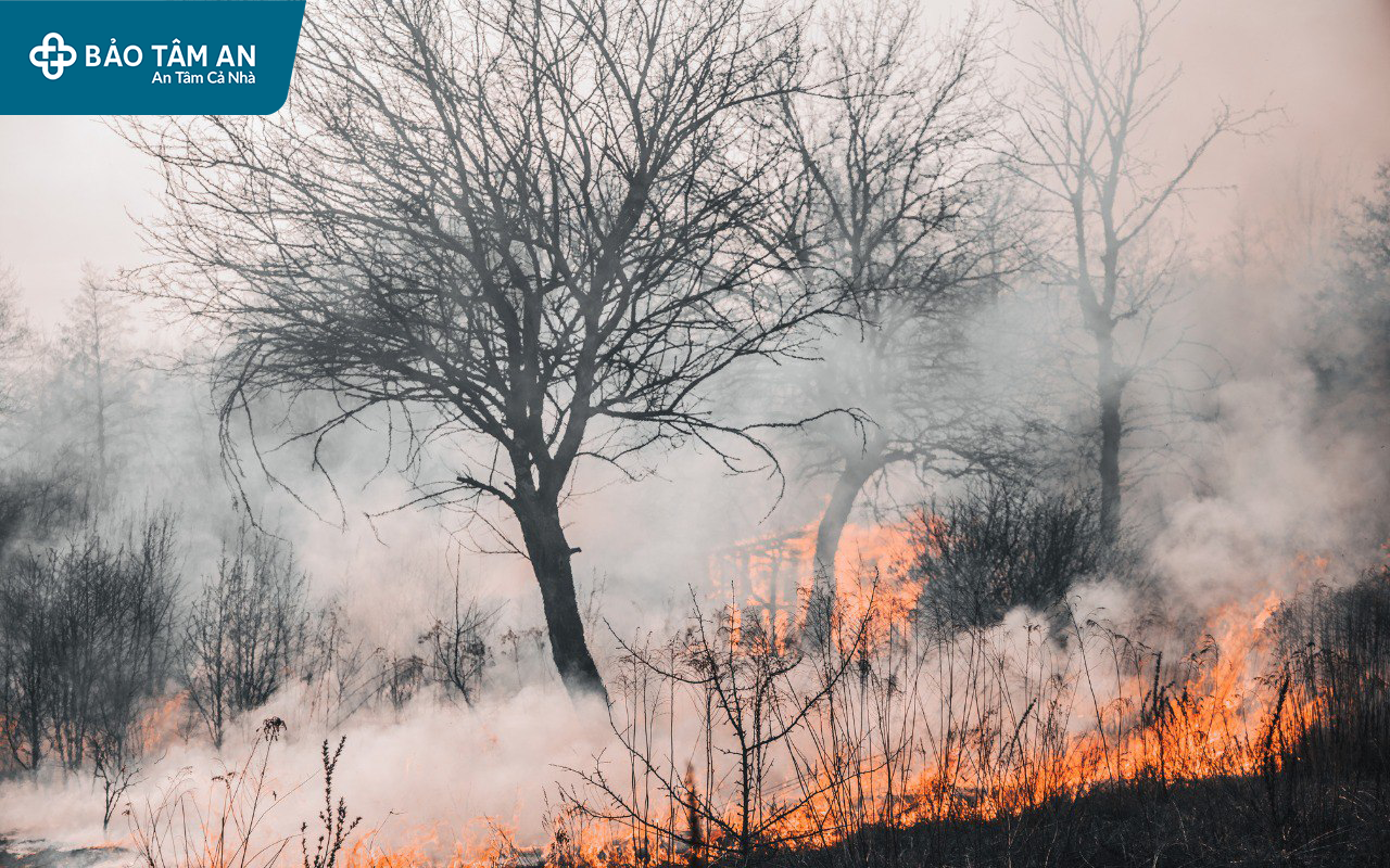 moi-truong-o-nhiem-ke-thu-vo-hinh-cua-he-ho-hap-nha-thuoc-bao-tam-an