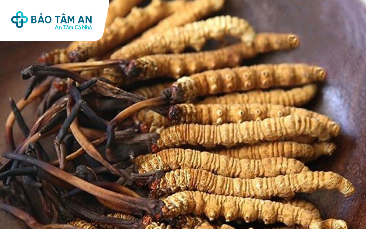 nam-dong-trung-ha-thao-than-duoc-tu-nhien-cho-co-the-nha-thuoc-bao-tam-an