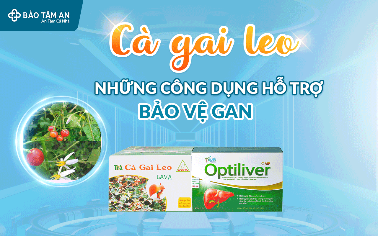 ca-gai-leo-nhung-cong-dung-ho-tro-bao-ve-suc-khoe-gan-nha-thuoc-bao-tam-an