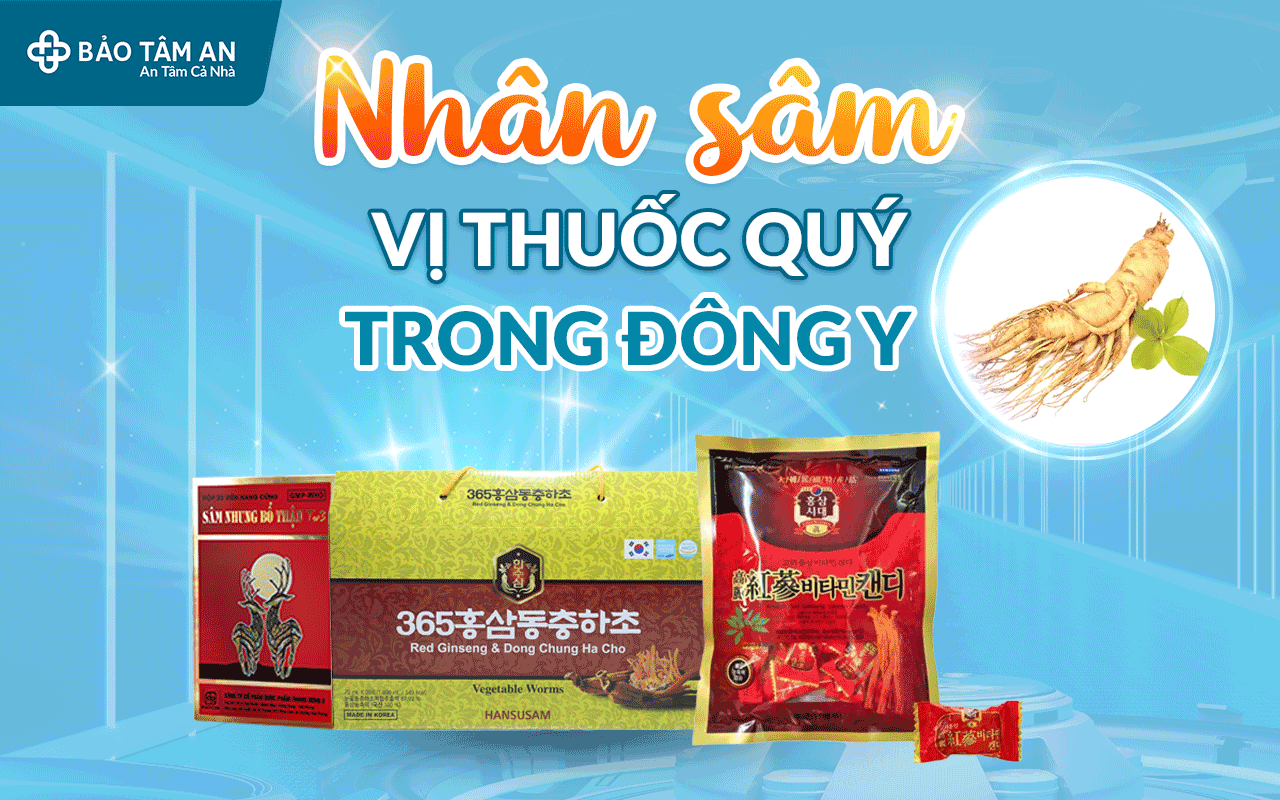 nhan-sam-vi-thuoc-quy-trong-dong-y-nha-thuoc-bao-tam-an
