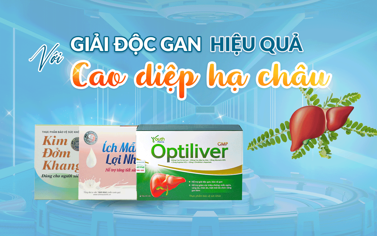 GIẢI ĐỘC GAN HIỆU QUẢ VỚI CAO DIỆP HẠ CHÂU