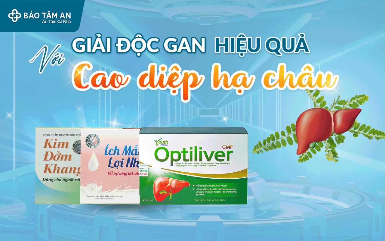 giai-doc-gan-hieu-qua-voi-cao-diep-ha-chau-nha-thuoc-bao-tam-an
